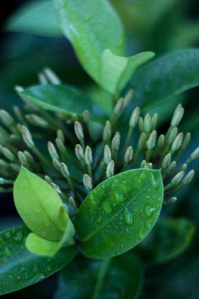 網(wǎng)絡(luò)性能優(yōu)化